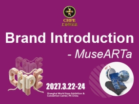 Brand Introduction - MuseARTa | famous paintings socks